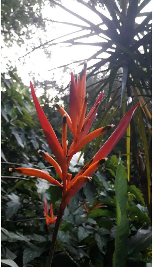 伊瓜苏港Jardin De Naipi 3公寓 外观 照片