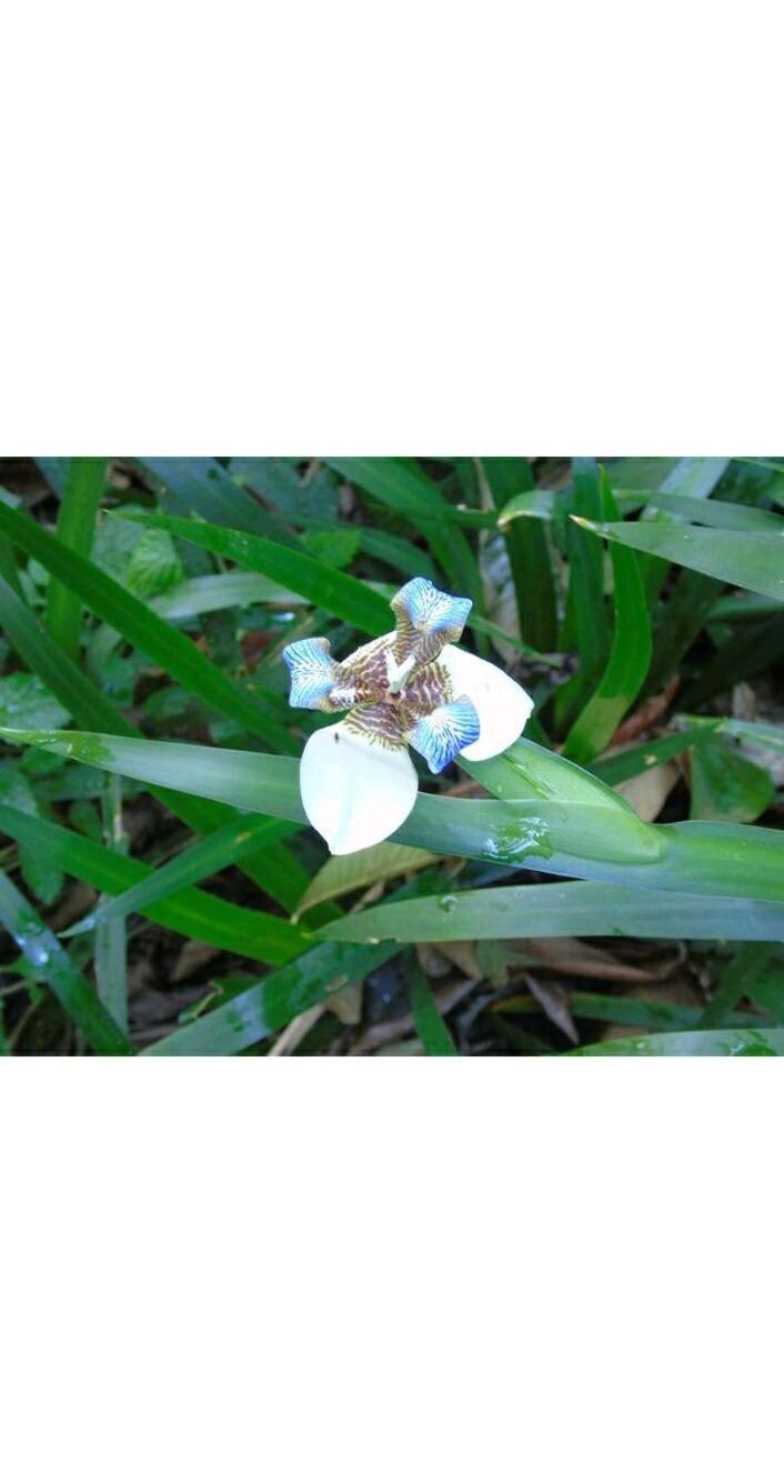 伊瓜苏港Jardin De Naipi 3公寓 客房 照片