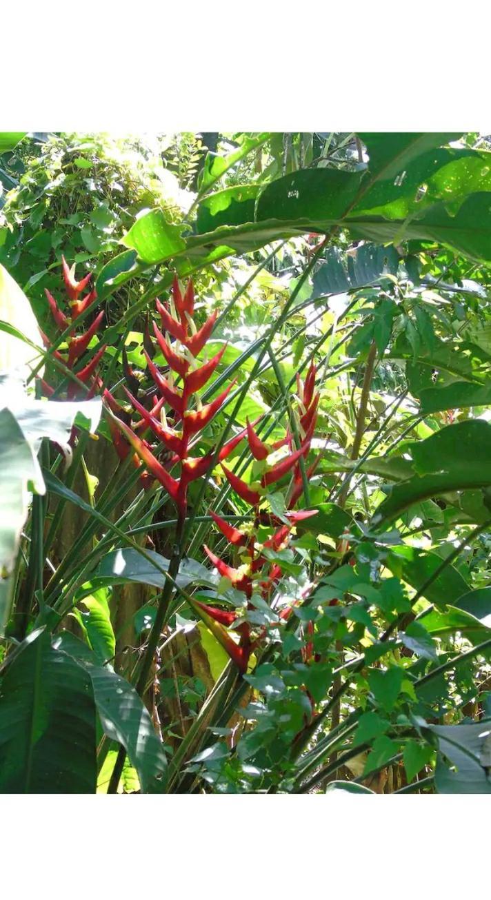伊瓜苏港Jardin De Naipi 3公寓 客房 照片